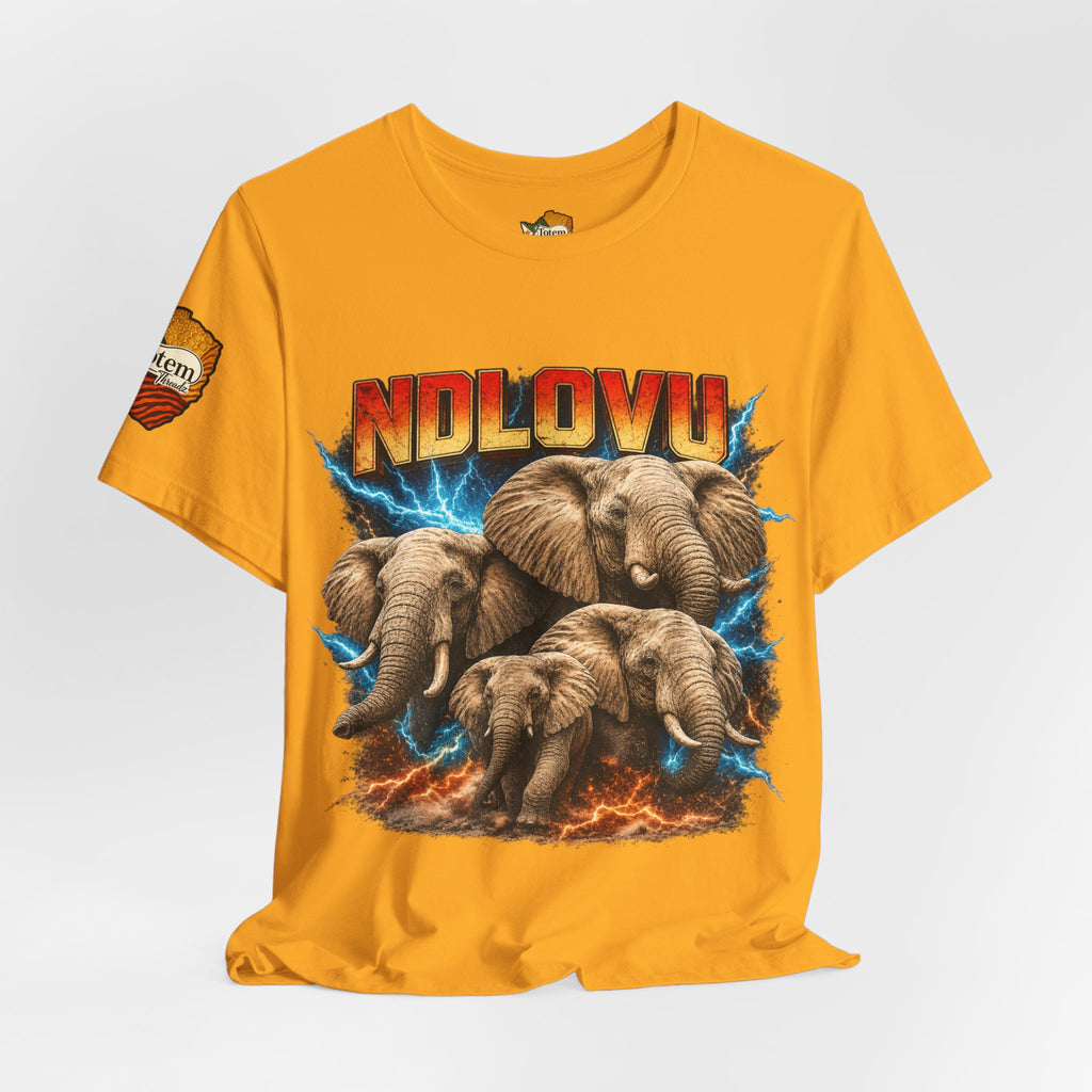 Ndlovu