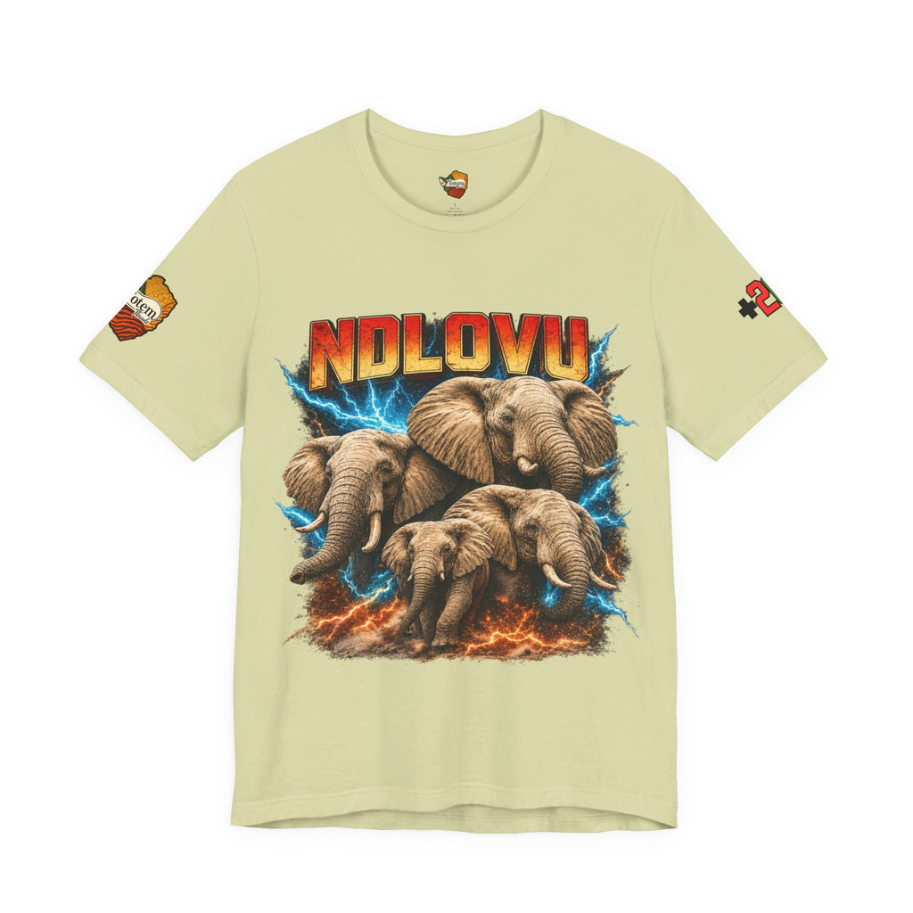 Ndlovu