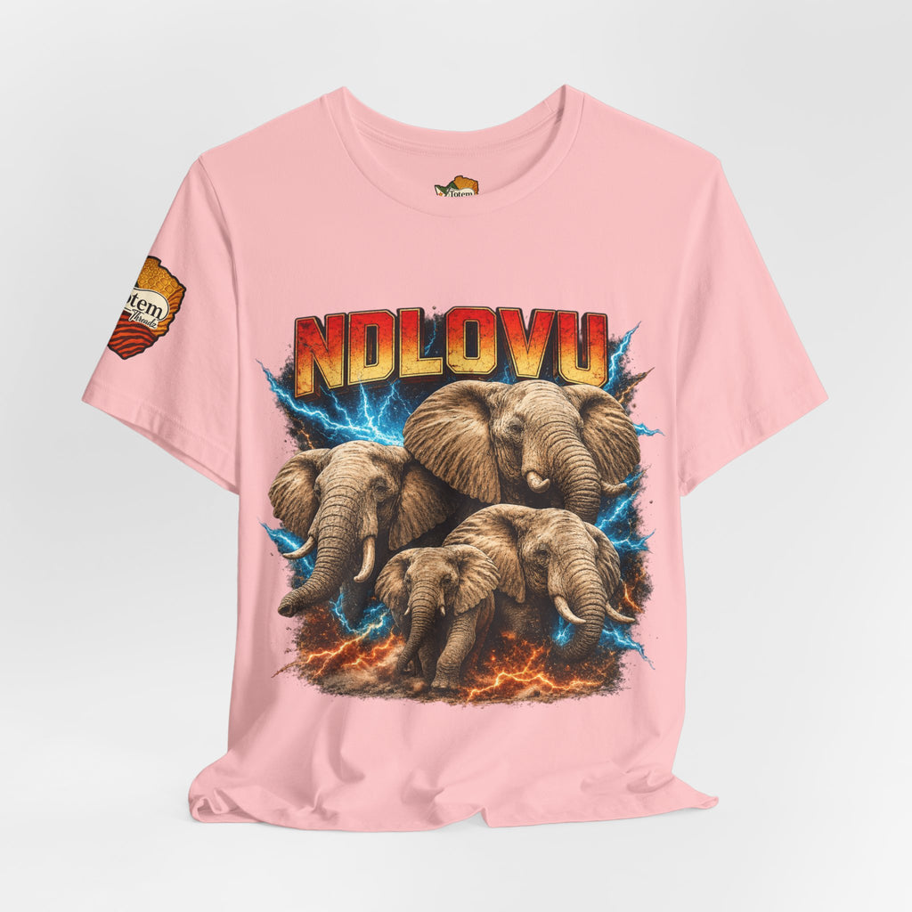 Ndlovu