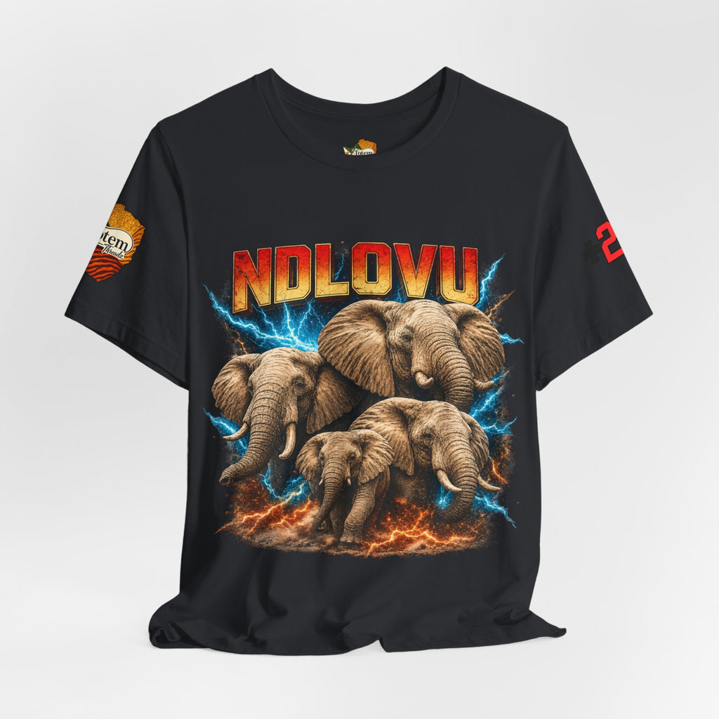 Ndlovu