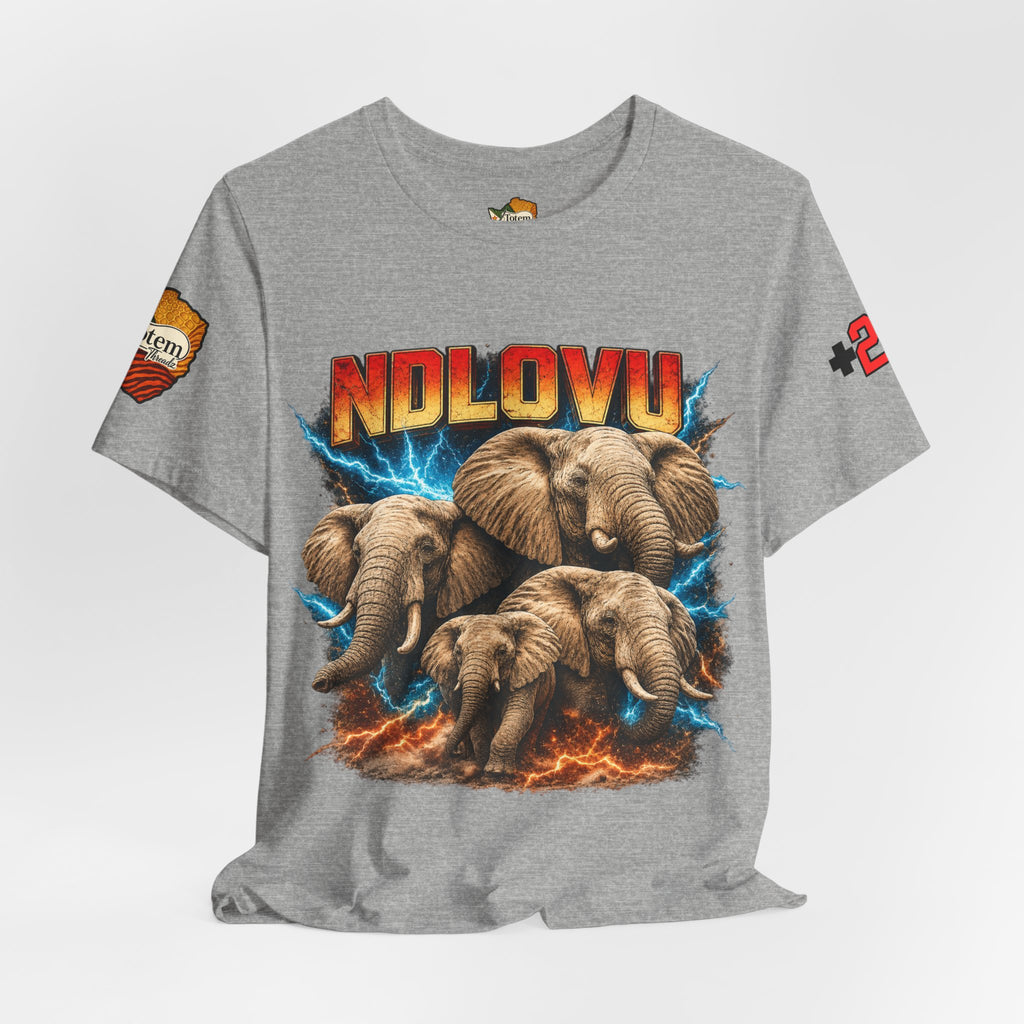 Ndlovu