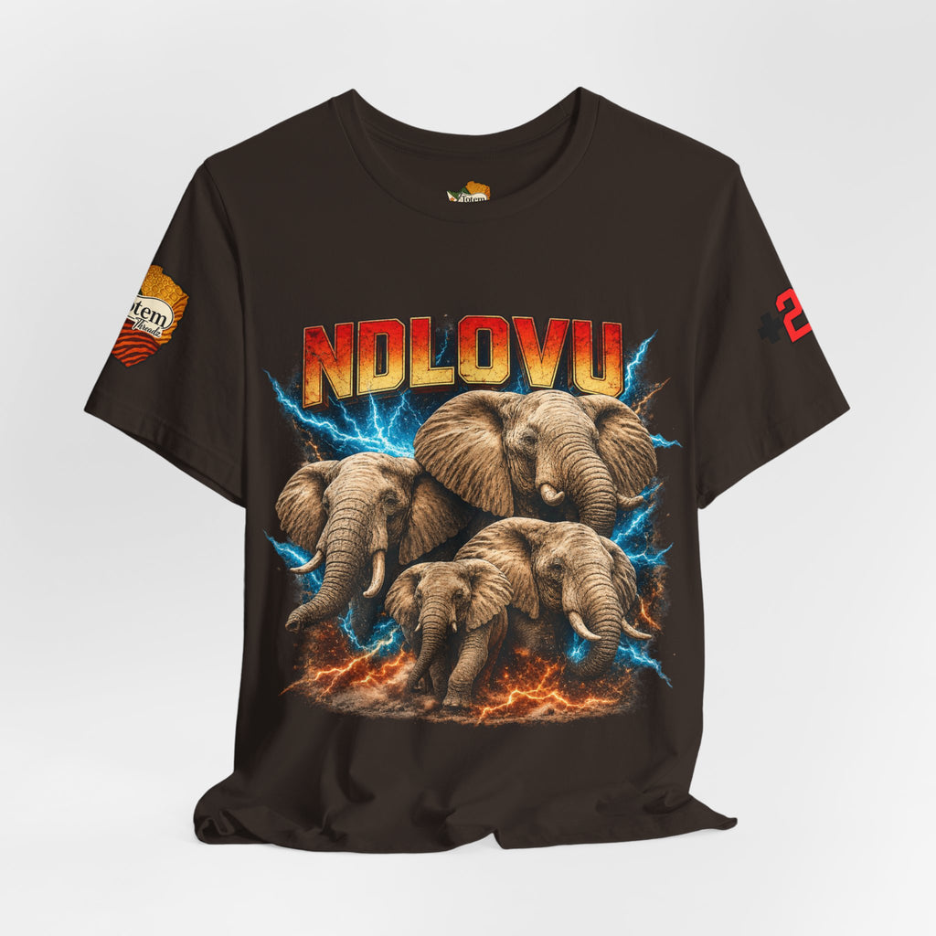 Ndlovu