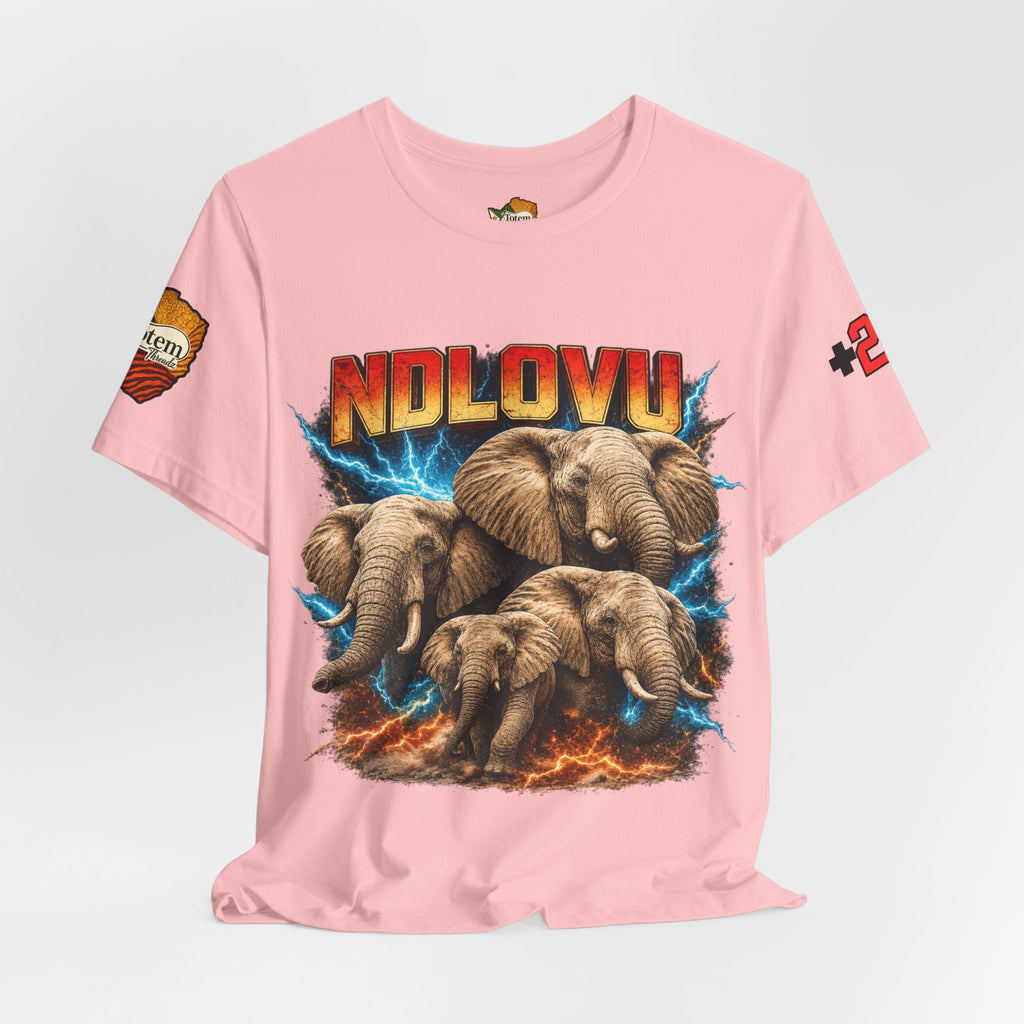 Ndlovu