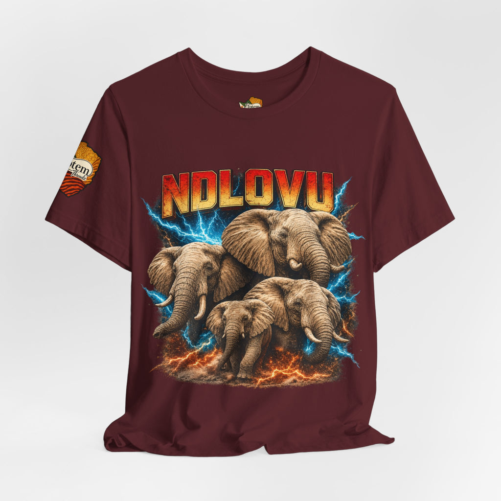 Ndlovu