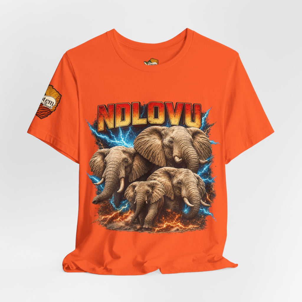 Ndlovu